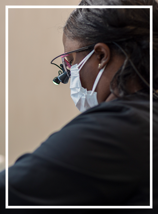 Dentist holding a model of a tooth showing the root canals inside of it